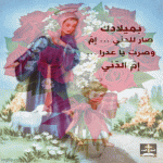 IMG_3060.gif