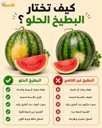 FB_IMG_1781380552935.jpg