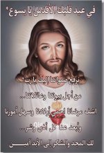 FB_IMG_1781254503776.jpg