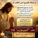FB_IMG_1781246057482.jpg