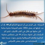 FB_IMG_1781201202415.jpg