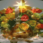 IMG_3068.gif