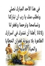 FB_IMG_1781463525970.jpg