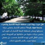 FB_IMG_1781460225079.jpg