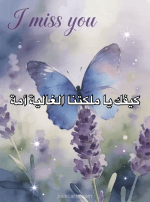 IMG_3092.png
