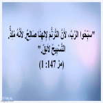 IMG_3105.gif