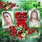 IMG_3107.gif