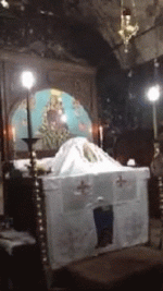 IMG_3116.gif