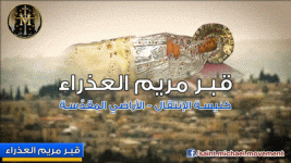 IMG_3117.gif