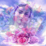 IMG_3169.gif