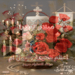 IMG_3200.gif