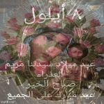 IMG_3218.gif