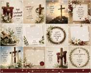 IMG_3237.gif