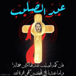 IMG_3263.gif