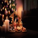 IMG_3294.gif