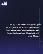 FB_IMG_1784663185448.jpg