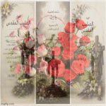 IMG_3442.gif