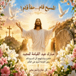 IMG_3535.gif