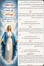 IMG_3767.png