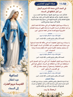 IMG_3769.png