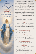 IMG_3771.png