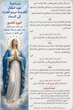 IMG_3773.png