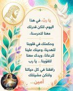 FB_IMG_1789126886161.jpg