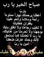 FB_IMG_1789123646219.jpg