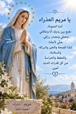 FB_IMG_1789123660069.jpg