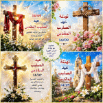 IMG_3944.gif