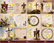 IMG_3946.gif