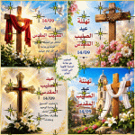 IMG_3947.gif