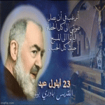 IMG_3972.gif