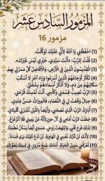 FB_IMG_1790753909982.jpg