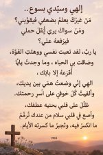 FB_IMG_1790752864780.jpg