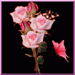 IMG_1144.gif