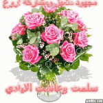 IMG_1267.gif