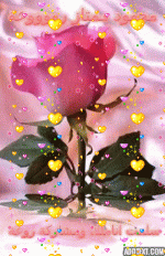 IMG_1266.gif