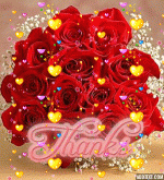 IMG_1261.gif