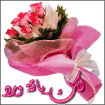 IMG_1273.gif