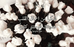 IMG_2119.gif