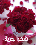 IMG_2121.gif