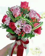 IMG_2271.gif