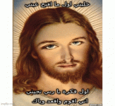 IMG_2731.gif