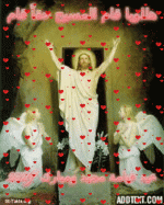 IMG_3672.gif