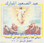 IMG_4097.gif
