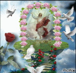 IMG_4101.gif