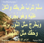IMG_4199.gif