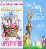 IMG_4297.gif