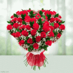 IMG_4538.gif